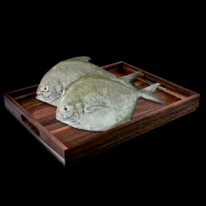 Pomfret Black